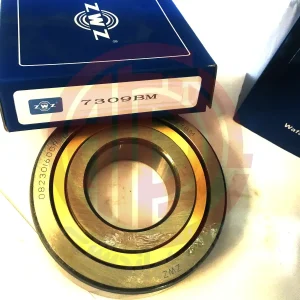 7309BM